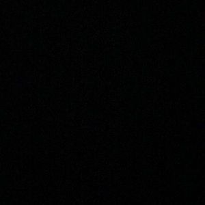 Meet your Posher, Ava